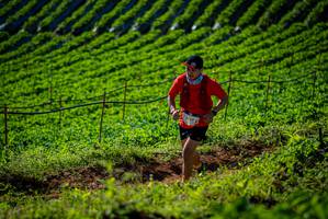 BIB: 3032
                            <button type="button" onclick="openModal(19160684)" class="btn btn-primary btn-sm float-right btn-popup" data-toggle="modal" data-target=".modal-high-quality">
                        <i class="fas fa-shopping-cart"></i> Add to Cart
                    </button>
                                            <button type="button" onclick="isThisMe(19160684, true)" class="btn btn-success btn-sm float-right btn-popup btn-isme hidden" data-toggle="tooltip" data-placement="bottom" title="นี่คือรูปของคุณใช่ไหม คลิกที่นี่เพื่อเอาเข้าอัลบั้ม">
                        <i class="fas fa-plus"></i> Add to album
                    </button>
                    <button type="button" onclick="isThisMe(19160684, false)" class="btn btn-warning btn-sm float-right btn-popup btn-isnotme hidden">
                        <i class="fas fa-ban"></i> Remove from album
                    </button>